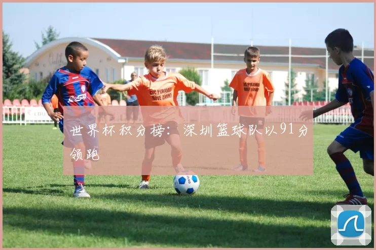 世界杯积分榜：深圳篮球队以91分领跑