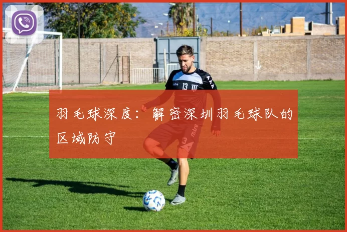 羽毛球深度：解密深圳羽毛球队的区域防守