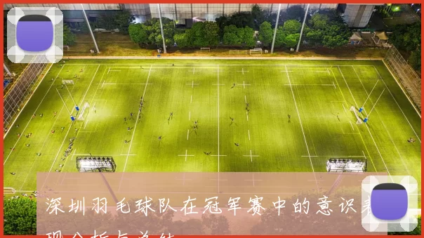 深圳羽毛球队在冠军赛中的意识表现分析与总结