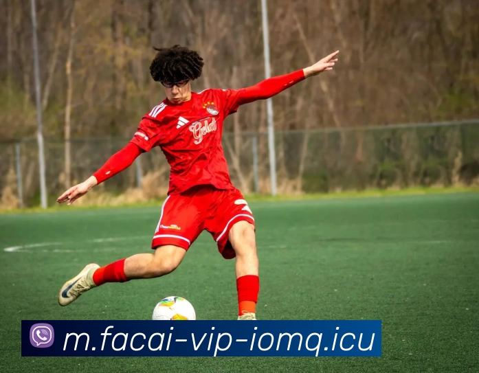 爱游戏体育APP 封面图